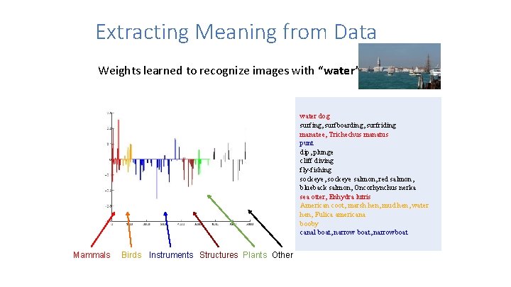 Extracting Meaning from Data Weights learned to recognize images with “water” in caption water