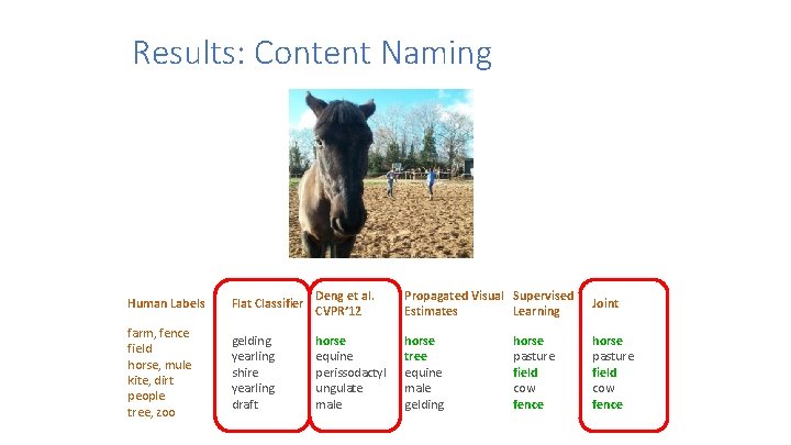 Results: Content Naming Human Labels Flat Classifier Deng et al. CVPR’ 12 Propagated Visual