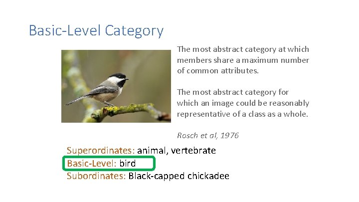 Basic-Level Category The most abstract category at which members share a maximum number of