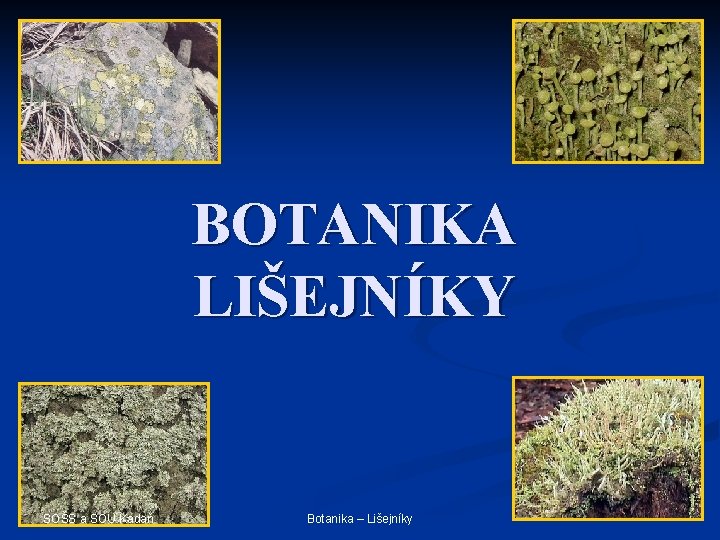 BOTANIKA LIŠEJNÍKY SOŠS a SOU Kadaň Botanika – Lišejníky 