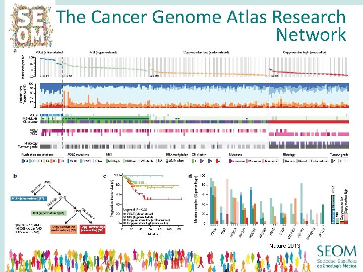 The Cancer Genome Atlas Research Network Nature 2013 