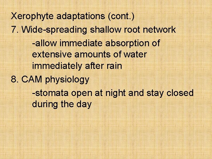 Xerophyte adaptations (cont. ) 7. Wide-spreading shallow root network -allow immediate absorption of extensive