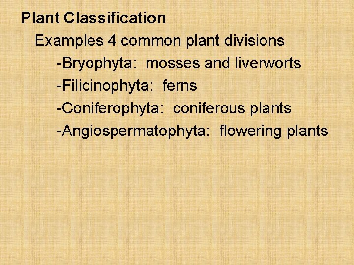 Plant Classification Examples 4 common plant divisions -Bryophyta: mosses and liverworts -Filicinophyta: ferns -Coniferophyta: