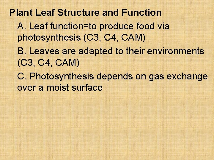 Plant Leaf Structure and Function A. Leaf function=to produce food via photosynthesis (C 3,