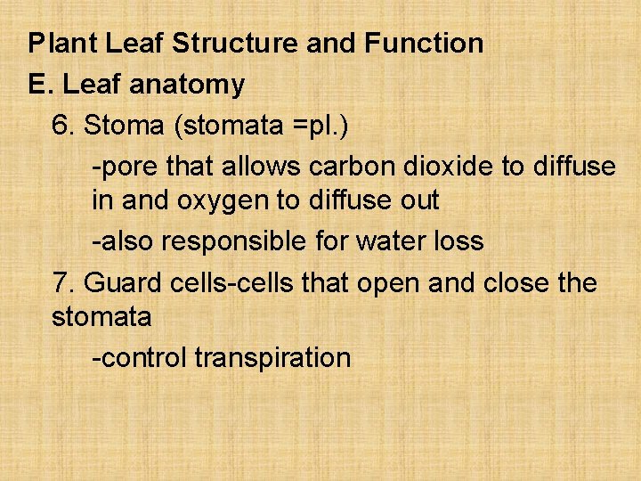 Plant Leaf Structure and Function E. Leaf anatomy 6. Stoma (stomata =pl. ) -pore