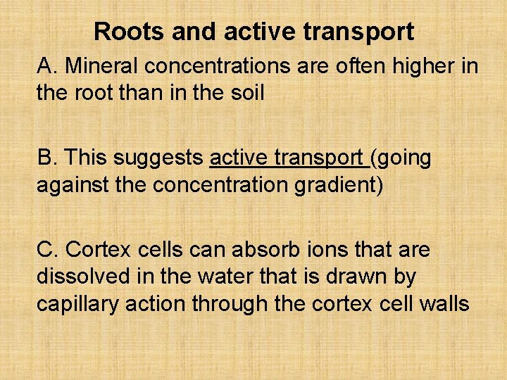 Roots and active transport A. Mineral concentrations are often higher in the root than