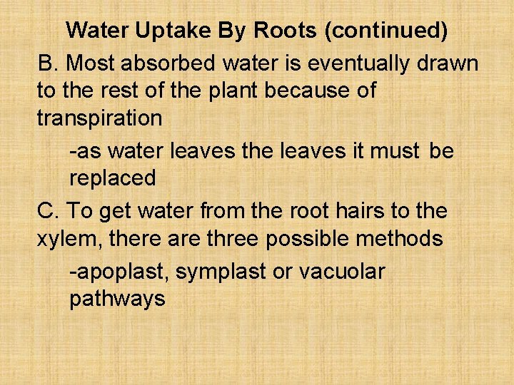Water Uptake By Roots (continued) B. Most absorbed water is eventually drawn to the