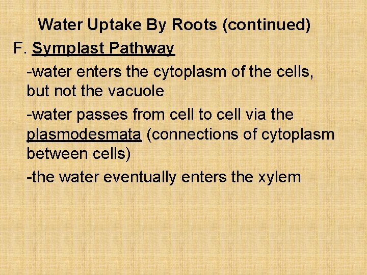 Water Uptake By Roots (continued) F. Symplast Pathway -water enters the cytoplasm of the