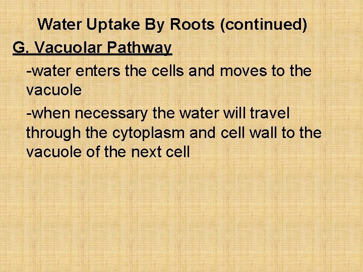 Water Uptake By Roots (continued) G. Vacuolar Pathway -water enters the cells and moves