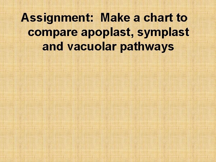 Assignment: Make a chart to compare apoplast, symplast and vacuolar pathways 