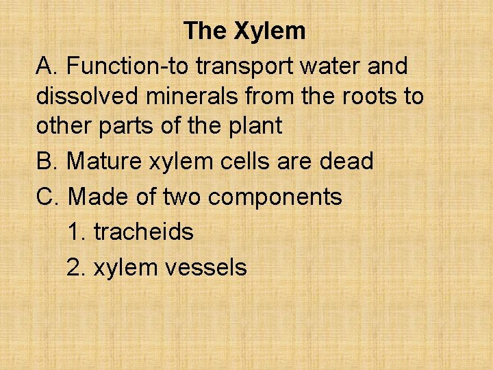 The Xylem A. Function-to transport water and dissolved minerals from the roots to other