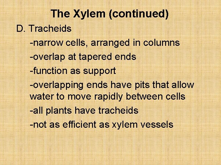 The Xylem (continued) D. Tracheids -narrow cells, arranged in columns -overlap at tapered ends