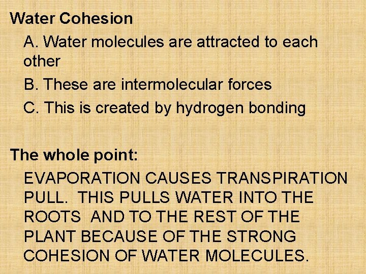 Water Cohesion A. Water molecules are attracted to each other B. These are intermolecular