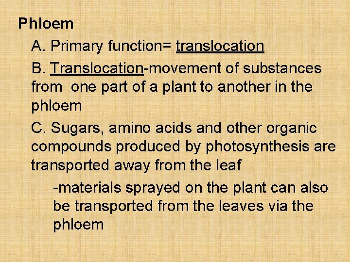 Phloem A. Primary function= translocation B. Translocation-movement of substances from one part of a