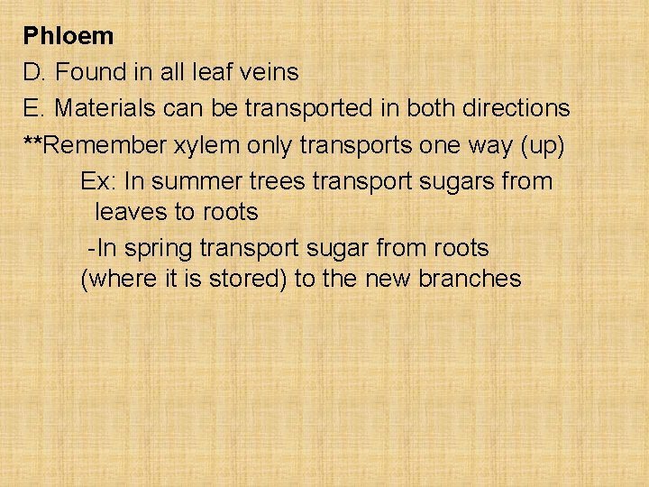 Phloem D. Found in all leaf veins E. Materials can be transported in both