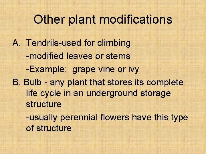 Other plant modifications A. Tendrils-used for climbing -modified leaves or stems -Example: grape vine