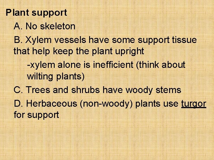 Plant support A. No skeleton B. Xylem vessels have some support tissue that help