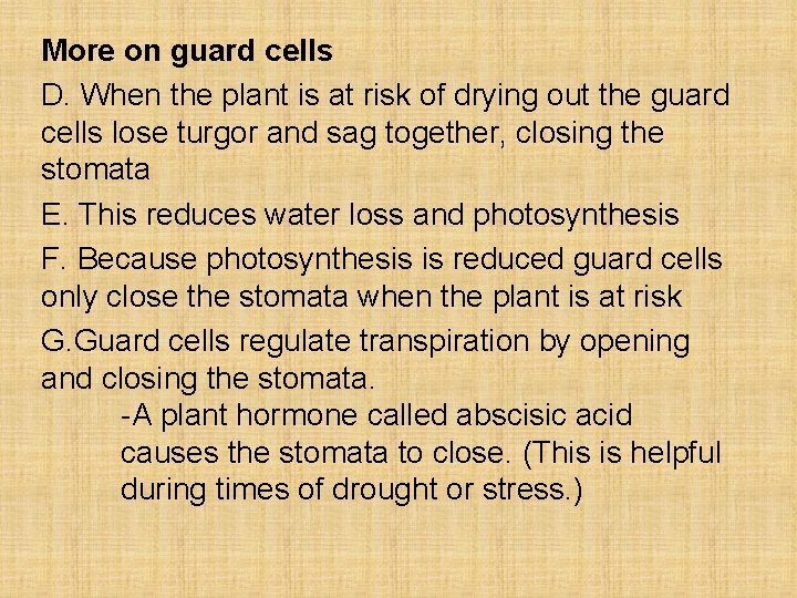 More on guard cells D. When the plant is at risk of drying out
