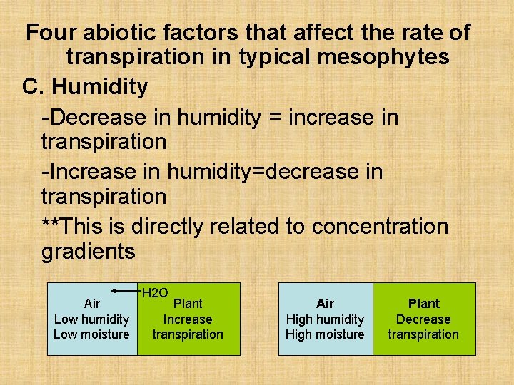 Four abiotic factors that affect the rate of transpiration in typical mesophytes C. Humidity