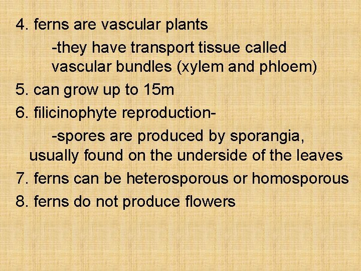 4. ferns are vascular plants -they have transport tissue called vascular bundles (xylem and