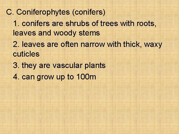 C. Coniferophytes (conifers) 1. conifers are shrubs of trees with roots, leaves and woody