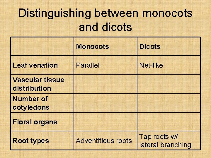 Distinguishing between monocots and dicots Leaf venation Monocots Dicots Parallel Net-like Adventitious roots Tap