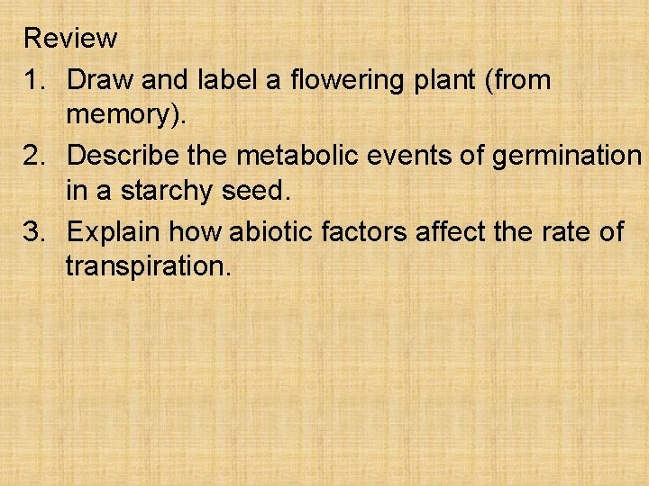 Review 1. Draw and label a flowering plant (from memory). 2. Describe the metabolic