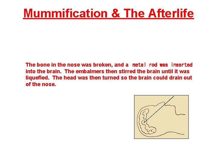 Mummification & The Afterlife The bone in the nose was broken, and a metal