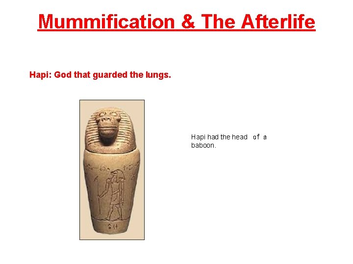 Mummification & The Afterlife Hapi: God that guarded the lungs. Hapi had the head