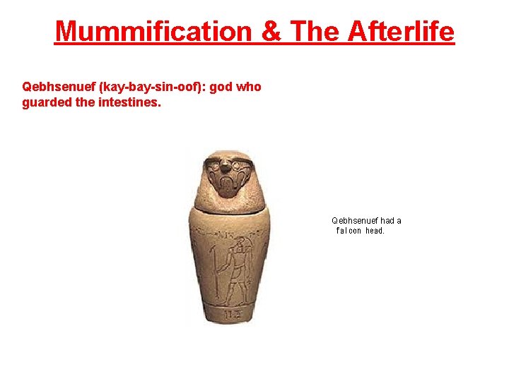 Mummification & The Afterlife Qebhsenuef (kay-bay-sin-oof): god who guarded the intestines. Qebhsenuef had a