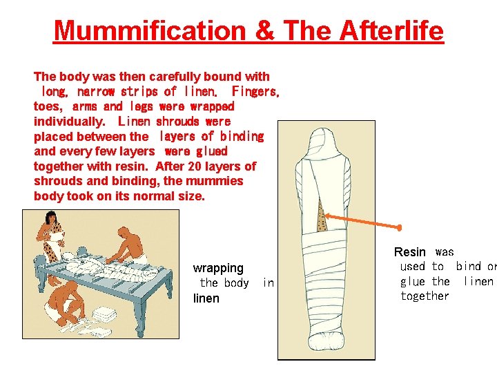 Mummification & The Afterlife The body was then carefully bound with long, narrow strips