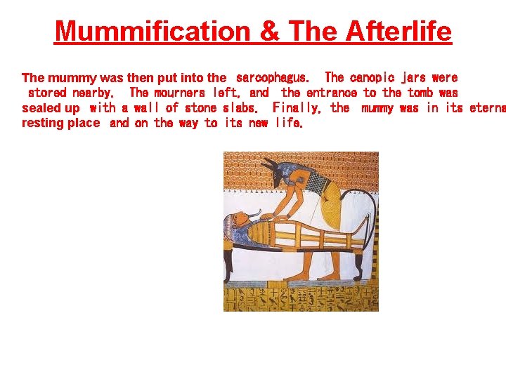 Mummification & The Afterlife The mummy was then put into the sarcophagus. The canopic