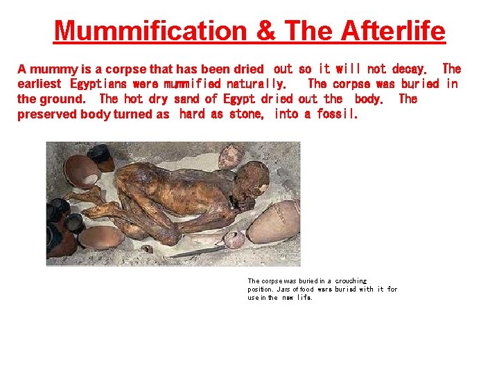 Mummification & The Afterlife A mummy is a corpse that has been dried out