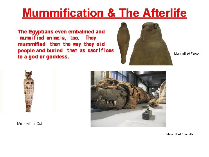 Mummification & The Afterlife The Egyptians even embalmed and mummified animals, too. They mummified