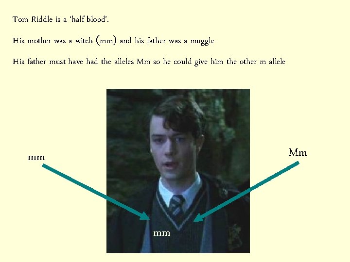 Tom Riddle is a ‘half blood’. His mother was a witch (mm) and his