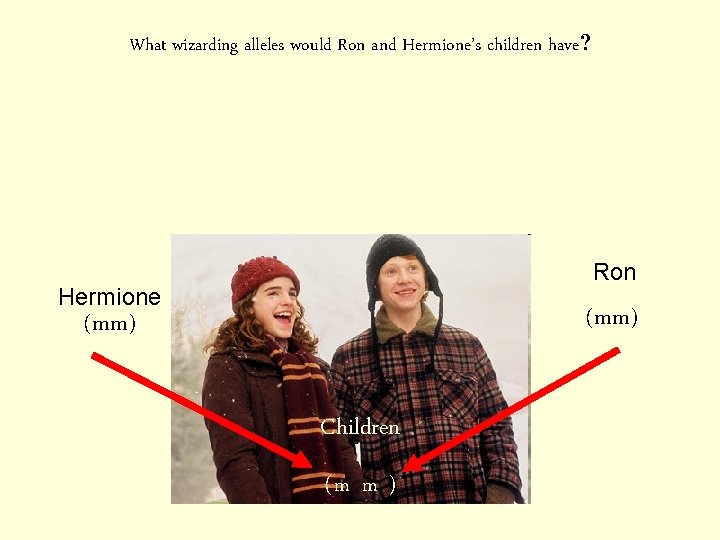 What wizarding alleles would Ron and Hermione’s children have? Ron Hermione (mm) Children (m