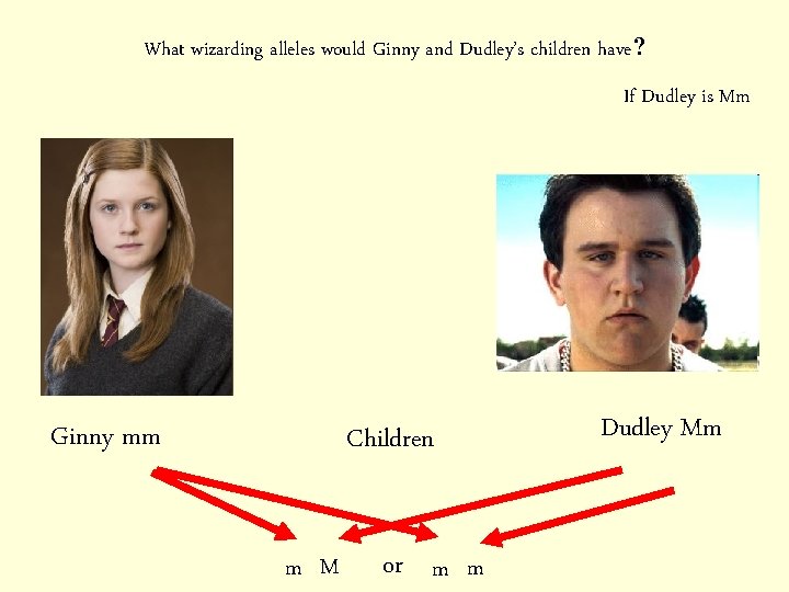 What wizarding alleles would Ginny and Dudley’s children have? If Dudley is Mm Ginny