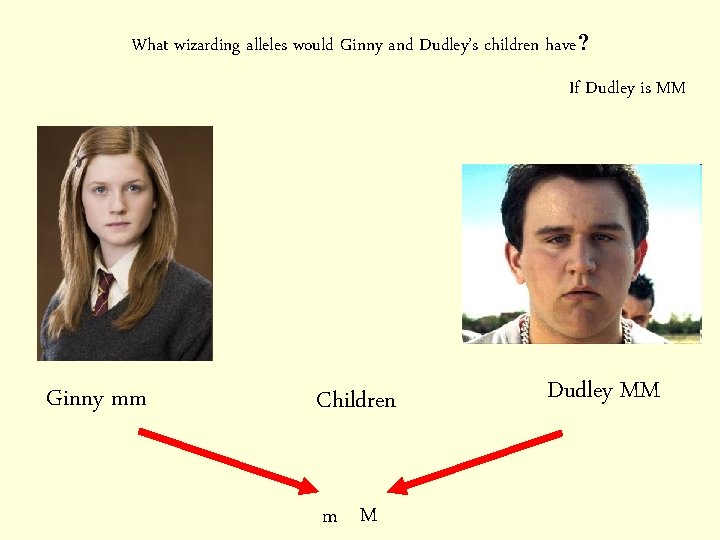 What wizarding alleles would Ginny and Dudley’s children have? If Dudley is MM Ginny