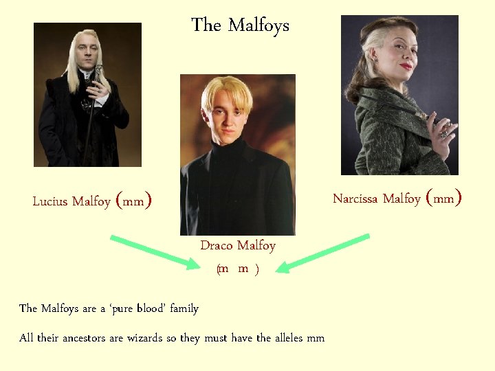 The Malfoys Narcissa Malfoy (mm) Lucius Malfoy (mm) Draco Malfoy (m m ) The