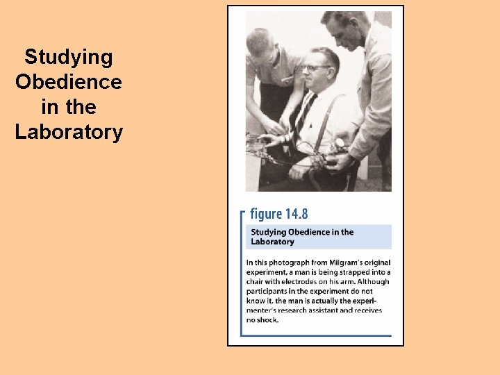 Studying Obedience in the Laboratory 