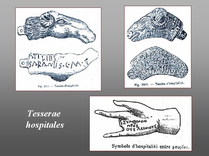 Tesserae hospitales 