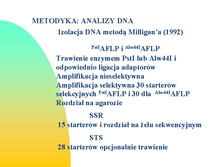 METODYKA: ANALIZY DNA Izolacja DNA metodą Milligan’a (1992) Pst. IAFLP i Alw 44 IAFLP