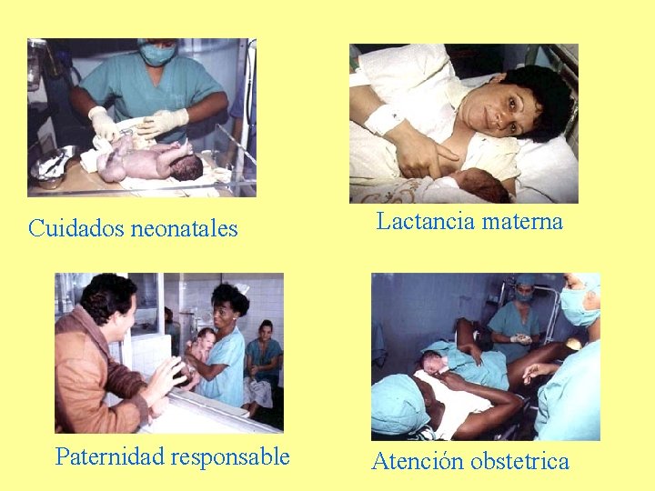 Cuidados neonatales Paternidad responsable Lactancia materna Atención obstetrica 