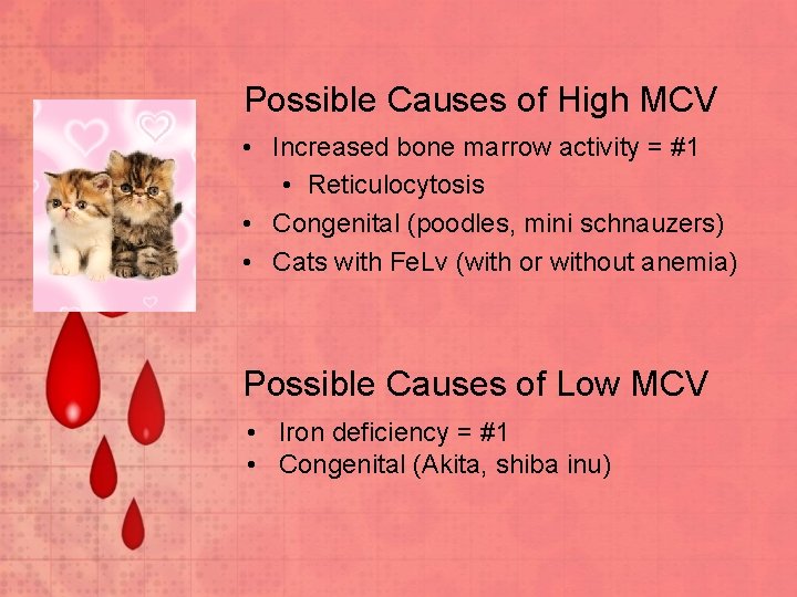 Possible Causes of High MCV • Increased bone marrow activity = #1 • Reticulocytosis