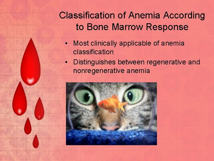 Classification of Anemia According to Bone Marrow Response • Most clinically applicable of anemia