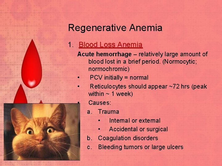 Regenerative Anemia 1. Blood Loss Anemia Acute hemorrhage – relatively large amount of blood