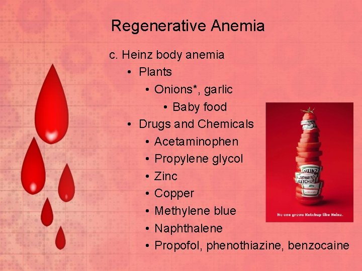 Regenerative Anemia c. Heinz body anemia • Plants • Onions*, garlic • Baby food