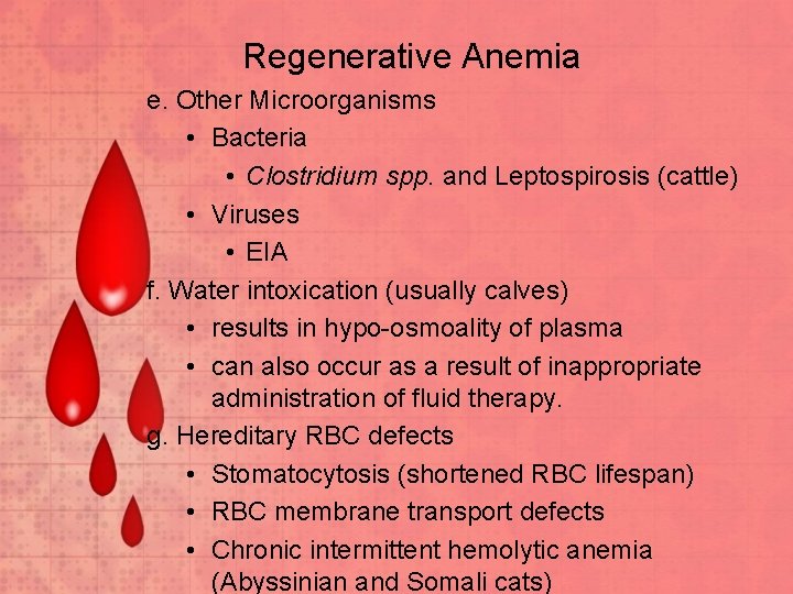 Regenerative Anemia e. Other Microorganisms • Bacteria • Clostridium spp. and Leptospirosis (cattle) •