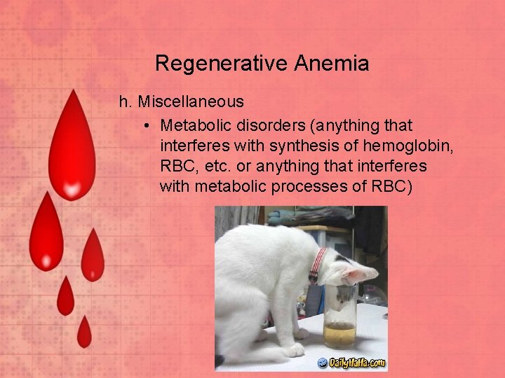 Regenerative Anemia h. Miscellaneous • Metabolic disorders (anything that interferes with synthesis of hemoglobin,