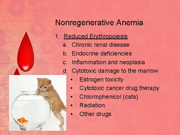 Nonregenerative Anemia 1. Reduced Erythropoiesis a. Chronic renal disease b. Endocrine deficiencies c. Inflammation